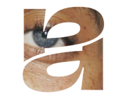 personal vision